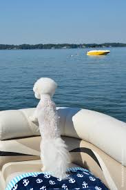 This hardware can hold a shelf or be used as a towel holder in the bathroom. Sailing Into Summer Nautical Fun On The Pontoon Home Is Where The Boat Is