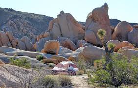 Maybe you would like to learn more about one of these? 9 Best Campgrounds In Joshua Tree National Park Camping Details Planetware