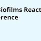 IWA Biofilms Reactors Conference event image