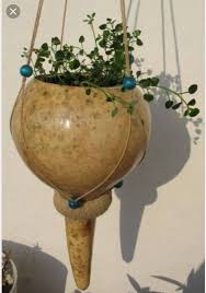 Sukabagi Sus Kabagi Gourd Handmade Goruntuler Ile Saksi Yaratici Fikirler