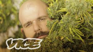 Here Are The Biggest Influencers in Canadian Weed Right Now