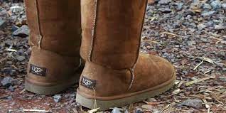 Ugg Success Story