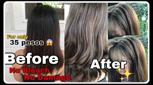 Diy Non Bleach Affordable Hair Color Ash Blonde Bremod Youtube