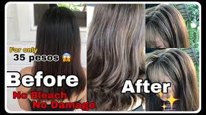 Out of the products reviewed here, the best one is definitely the l'oreal excellence triple protection color creme haircolor. Diy Non Bleach Affordable Hair Color Ash Blonde Bremod Youtube