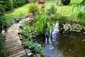 Recht schnell läßt sich ein gartenteich mit fertigen wannen aus dem baumarkt oder gartenfachbedarf realisieren. Teichbecken Oder Teichfolie Was Hat Mehr Vorteile Ç€ Husmann