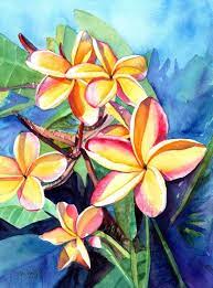 Plumeria Watercolor Tropical Flowers Frangipani Art Kauai Fine Art Original Plumeria Paintings Hawaiian Flowe Hawaiian Art Flower Art Watercolor Flowers
