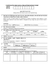 Simple bio data formats for job pdf & word free download. 25 Sample Biodata Form Templates In Pdf Ms Word