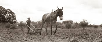 149 popular meanings of tva abbreviation Life Before Tva