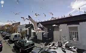 Apis use structured language so that we (the programmer and google) both know we're talking about the same thing. 36 Strange And Funny Google Street View Photos Bored Panda