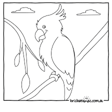 There are crocodile and emu and platypus in australia. Australia Coloring Page Coloring Home