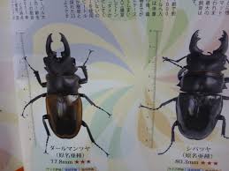 We did not find results for: èŠå…ƒä¿Šæ–‡ Jp 2013 10æœˆ