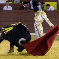 Torero Alejandro Talavante