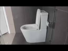 Wbsecm140ww bo 305mm 6/3l dimensions: Rigel 9030s Water Closet Youtube