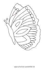 Ein weiteres bild von ausmalbilder zum ausdrucken schmetterling: Ausmalbild Schmetterling Zum Ausdrucken