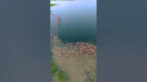 ❤️❤️❤️❤️