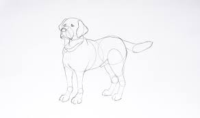 Learn how to draw a dog face step by step easy for beginners. Draw A Dog In 4 Easy Steps Arteza