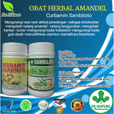 Rasa sakit radang tenggorokan kadang menganggu aktivitas. Obat Amandel Paling Ampuh Di Apotik Shopee Indonesia