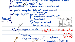 Sains tingkatan 4 bab 10. Biologi Bab 7 Bahagian 1 Respirasi Spm Tingkatan 4 Youtube