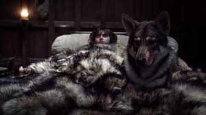Pin By Erika Jacobs On Random Pics Dire Wolf Game Of Thrones Throne