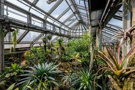 Er ist eine grüne oase in der großstadt und wird von berlinern und touristen gern zu jeder jahreszeit besucht. Botanischer Garten Berlin Heiko Probst Fotografie