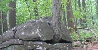 Hours may change under current circumstances Sourland Mountain Preserve Loop New York New Jersey Trail Conference