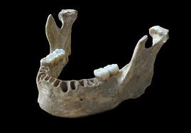 Verändert sich · veränderte sich · hat sich verändert. Sein Urur Opa War Neandertaler 40 000 Jahre Altes Homo Sapiens Fossil Entpuppt Sich Als Neandertaler Mischling Scinexx De