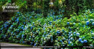 Festival de cultura e gastronomia de gramado. Gramado Em Outubro Veja Como Aproveitar Sua Viagem Ao Maximo