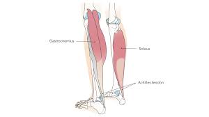 Sit on the floor with the bottoms of your feet pressed together. 5 Ways To Release Tight Calves