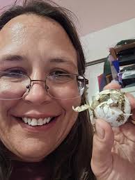 First tortoise birthday celebration in Sulcata Tortoise Care