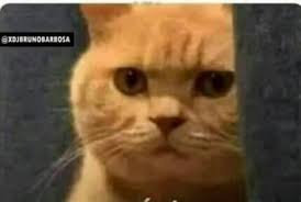 Gente de afuera: que pasó...