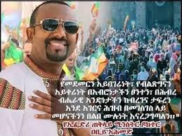 Profile for Kaleb Kebede