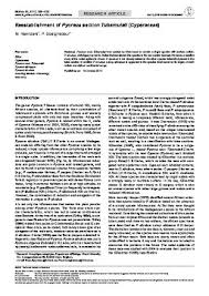 Image result for Pycreus africanus