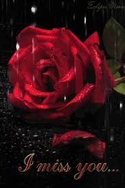 We did not find results for: Raining Rose I Miss You Gif I Miss You Miss You Too Miss You
