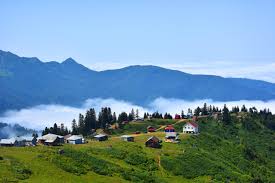 გომის მთა - ოზურგეთის მუნიციპალიტეტი