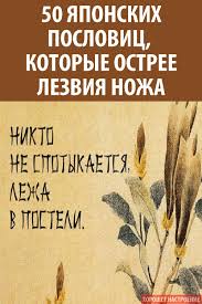 теория всего от сингулярности до бесконечности происхождение и судьб Pin Ot Polzovatelya Madina Kunupova Na Doske Psihologiya I T P Yaponskie Citaty Poslovicy Citaty