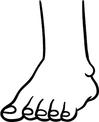 This is a picture of foot to from here you can paint free foot coloring page on body parts. Download Foot Coloring Page Png Image With No Background Pngkey Com