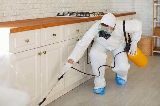 Termite Treatment Setup