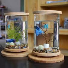 Best Home Aquarium 1pcs Glass Betta Fish Tank Bamboo Base Mini Fish Tank Decorat Latest Fish Tank Fish T Fish Tank Decorations Glass Fish Tanks Mini Aquarium