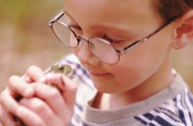 Language Development