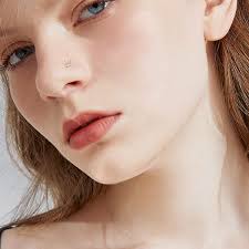 Drperfect 9PCS Nose Ring Stud for Women 20G Stainless Steel L-Shape Nose  Rings CZ Butterfly Snowflake Nose Studs Assorted Nose Piercing Jewelry :  Amazon.ae: Fashion