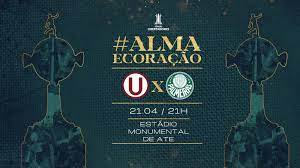 We did not find results for: Universitario Per X Palmeiras Numeros Estatisticas E Curiosidades Da Partida Palmeiras