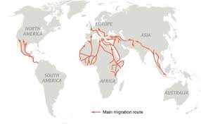 The World S Congested Human Migration Routes In 5 Maps Ap Human Geography Human Migration Migrations