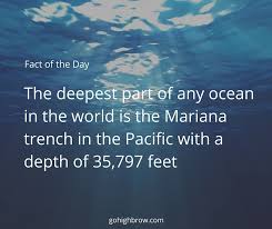 Although it hasn't been well explored because of the challenges associated with going that deep, the trench goes at least 36,070. The Deepest Part Of Any Ocean In The World Is The Mariana Trench In The Pacific With A Depth Of 35 797 Mariana Trench Ocean Oceans Of The World Marianas Trench