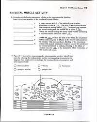 Solved Chapter 6 The Muscular System 93 Skeletal Muscle Chegg Com