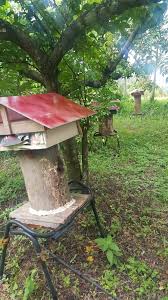 Madu kelulut asli berkhasiat untuk kesehatan dan kenjantanan pria, dengan cara minum mudah tanpa efek samping, telah untuk karakteristik madu yang dihasilkan lebah kelulut menghasilkan rasa madu yang agak lebih asam dibandingkan dengan. Sebelum Memulakan Penternakan Madu Kelulut Alie Serdang Facebook