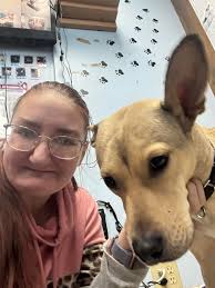 Hey guys! I've set up a dog walking/pet sitting company called Creature  Comforts. All fully insured, so if anyone needs some help please give me a  shout and I will let you