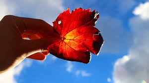 Perasaan cinta biasanya dapat dirasakan. 25 Kata Kata Karma Untuk Orang Yang Menyakiti Kita 2021 Poskata