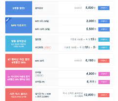 · 만료 전 구매 시: ì§€ë‹ˆ ë®¤ì§ ì´ìš©ê¶Œ ê°€ê²© ìŠ¤íì…œ êµ¬ë§¤ í›„ê¸°