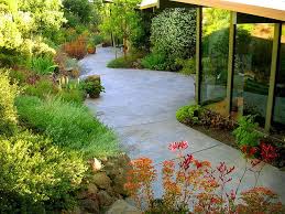 Floradora Garden Design Child S Wildlife Garden Castro Valley Ca Eichler House Water Wise Landscaping Succulent Landscaping Backyard