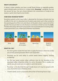 Check spelling or type a new query. Replant Braa Flip Ebook Pages 1 12 Anyflip Anyflip